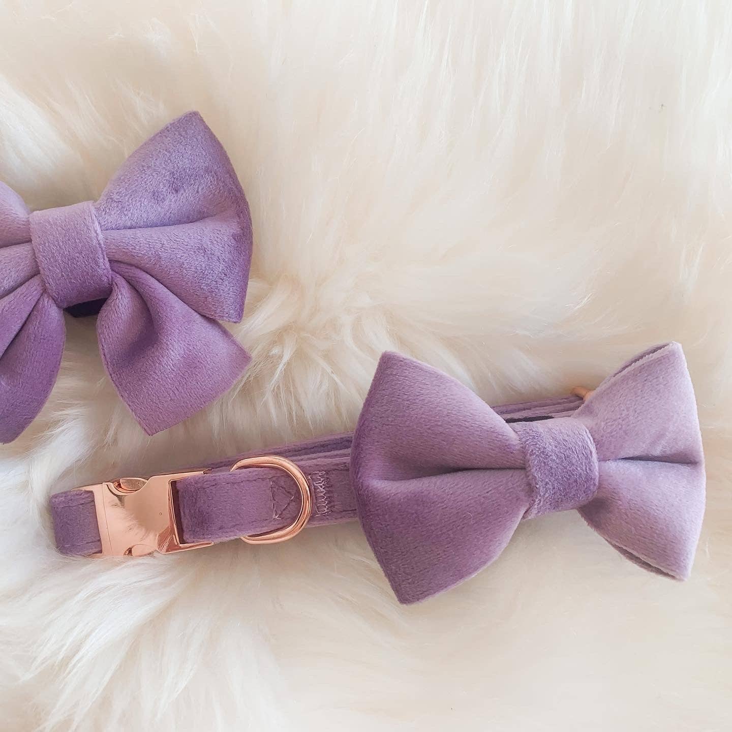 The Spotted Dog Company – wholesale Pet collar – Dog – Lilac Velvet Dog Collar1