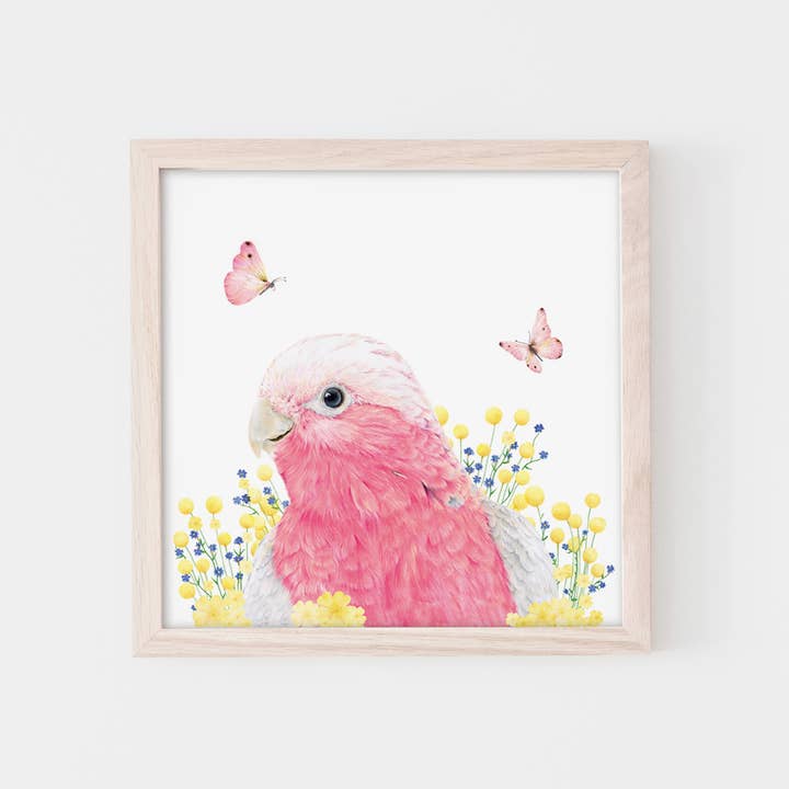 Fine Art Print: Mavis The Galah for wholesale by Popcorn Blue