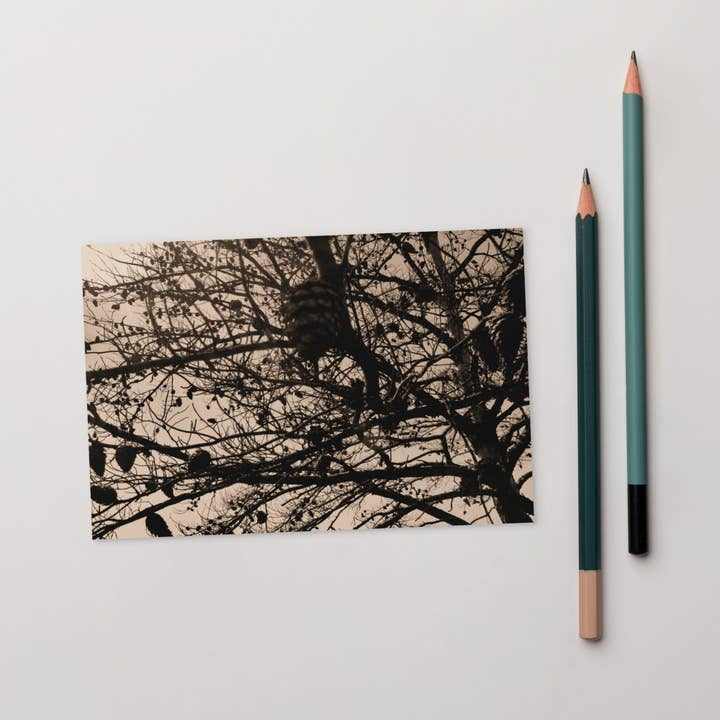 Tarjetas de correo estándar para enviar fotografía en blanco y negro de la naturaleza del bosque y el terreno montañoso. para venta al por mayor de VIBELINK