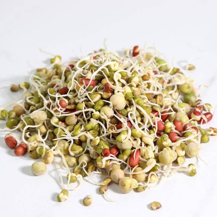 Sproutman - Wholesale Plant Seeds - Organic Crunch Time Sprouting Seed