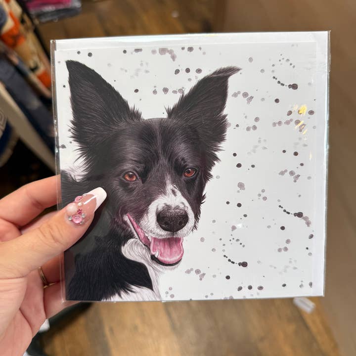 Border Collie Hilsenkort for engroshandel hos Emmy Turner Illustration