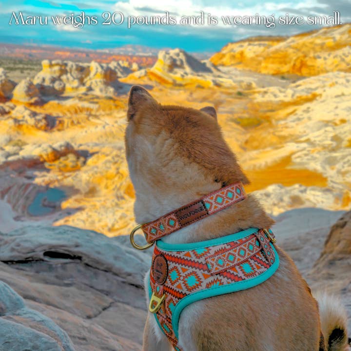 Wolfdoge – wholesale Pet harness – Dog – Southwest Spirit Harness4