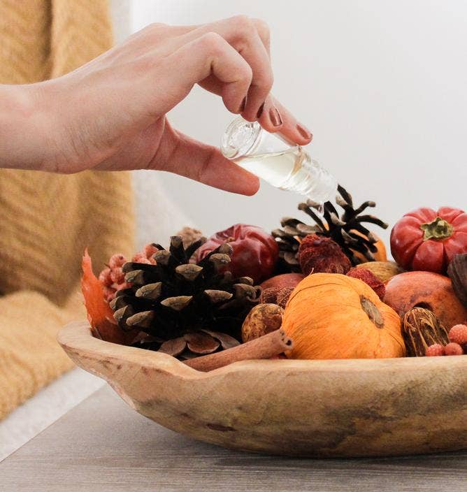 Andaluca - Wholesale Potpourri - Pumpkin Patch Potpourri3