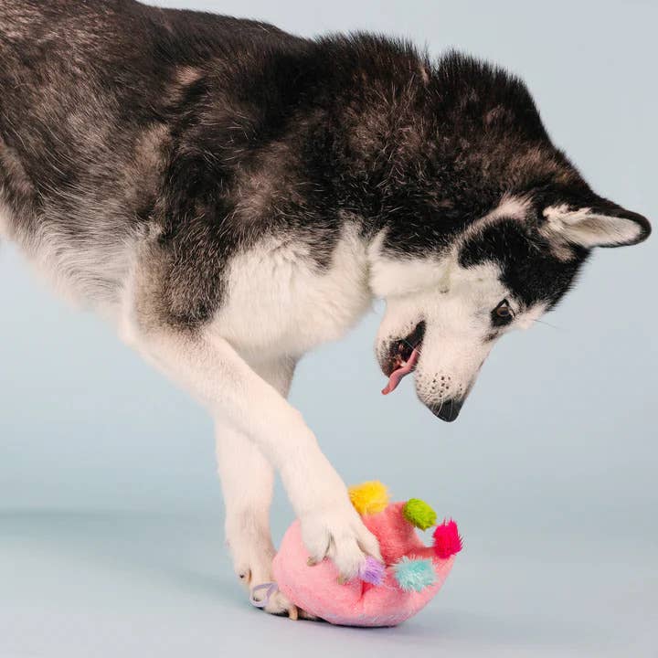 Pet Palette Distribution - Wholesale Pet Plush Toy - Dog - PetShop by Fringe Studio If The Crown Fits Plush Dog Toy4