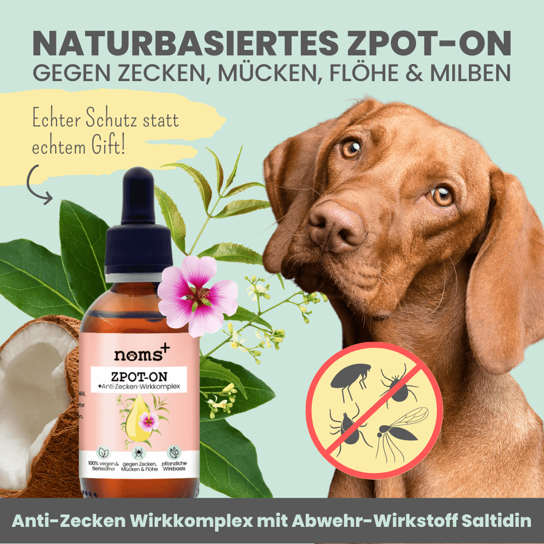 Noms+ - Wholesale Pet Spray - Dog - Zpot-on for dogs against ticks, fleas, mites & mosquitoes1