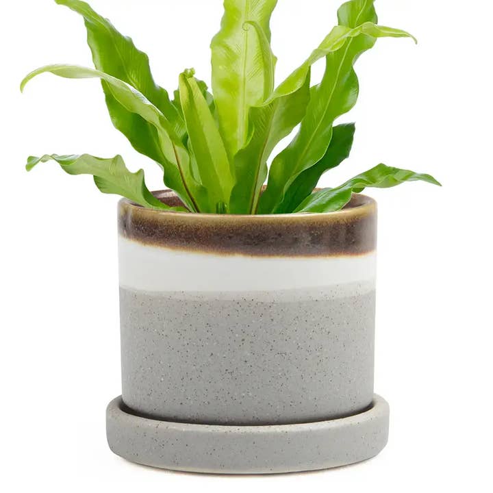 Chive UK - Wholesale Plant Pot - Minute Handmade Ceramic Planter Indoors Pot With Saucer1