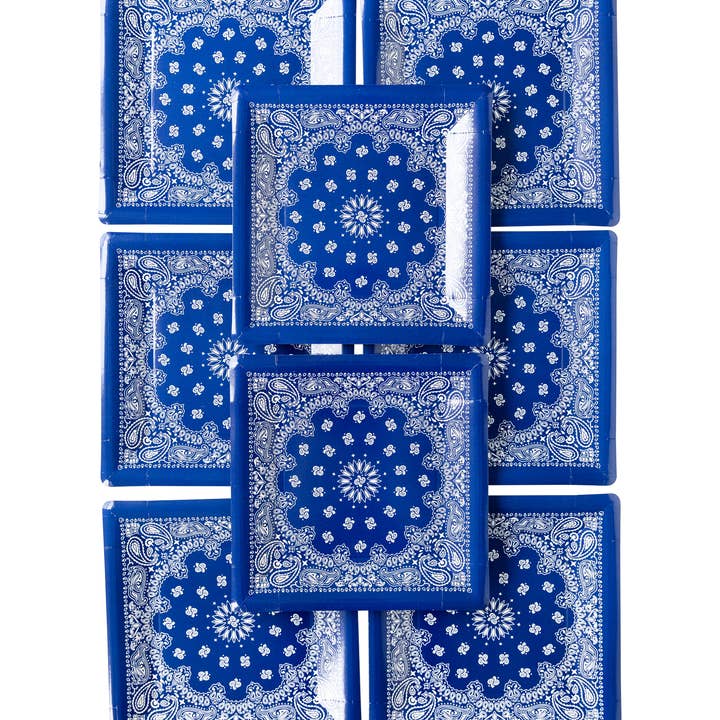 My Mind’s Eye - Wholesale Disposable Plate - PLTS366R-MME - Blue Bandana Paper Plate