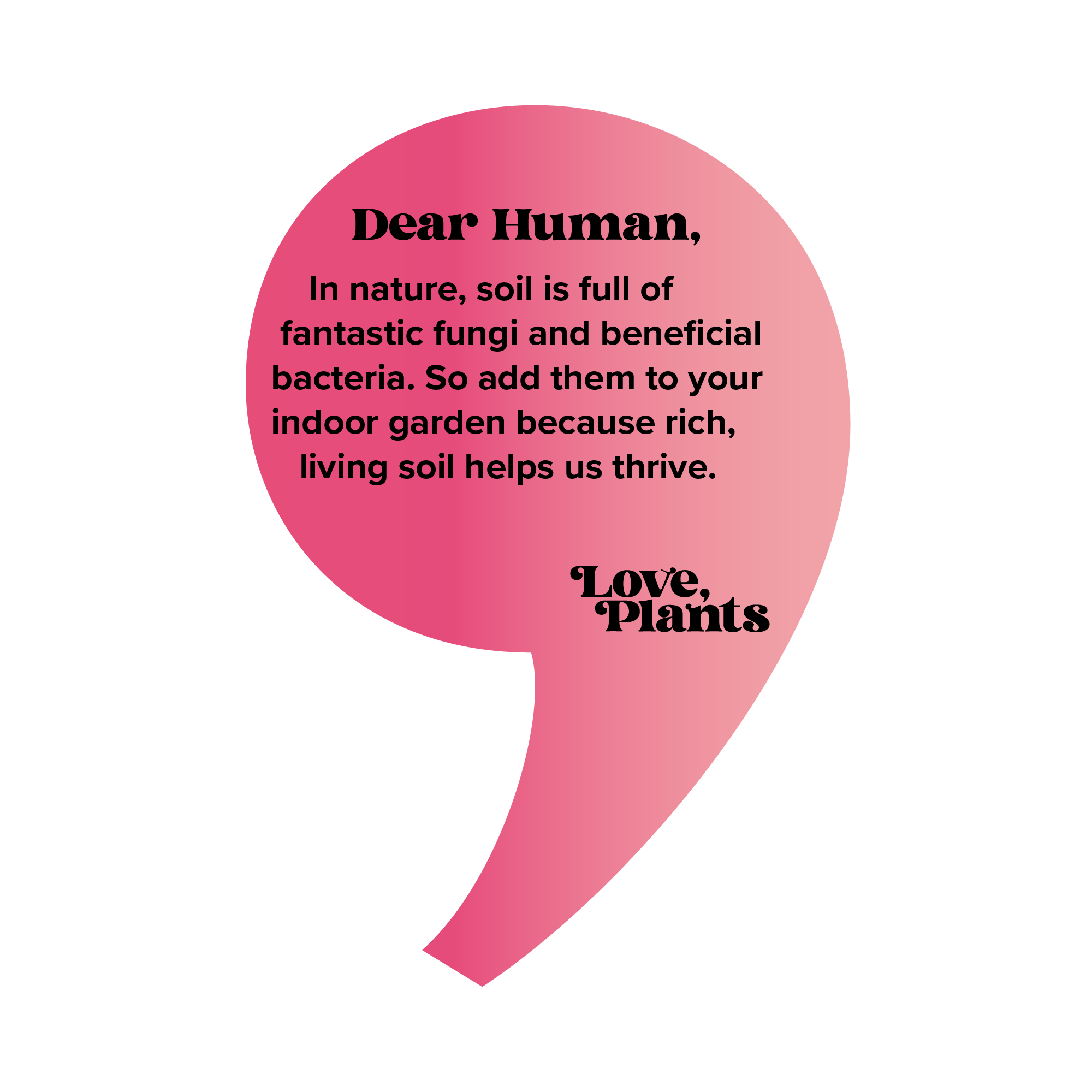 Love, Plants – wholesale Fertiliser – Houseplant Probiotic - Organic Soil Revitalizer 4