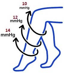 Think Medical Wholesale - Wholesale Socks - Women's - Solid Compression Lt Pink Knee High1