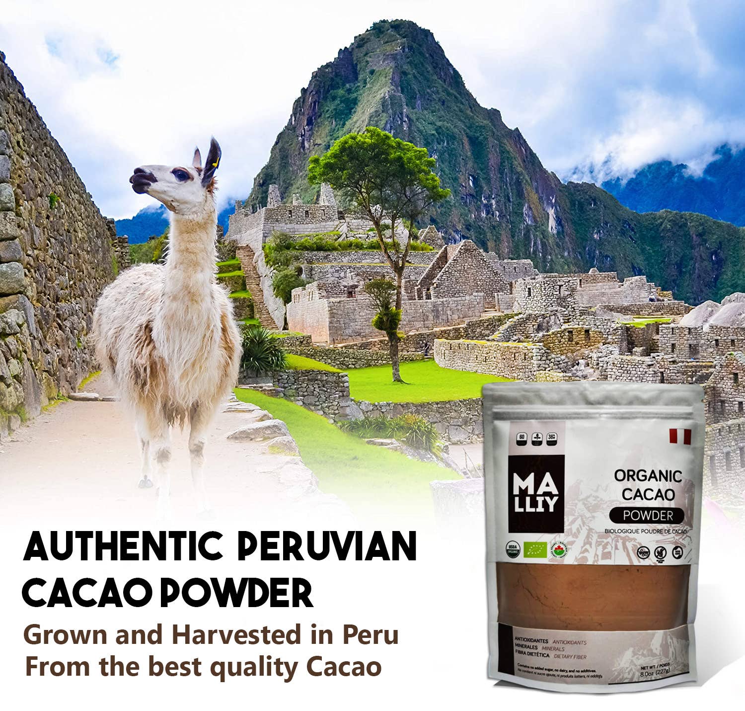 Ganesa Trading - Wholesale Protein/superfood powder - Organic Cacao Powder imported from Peru.2