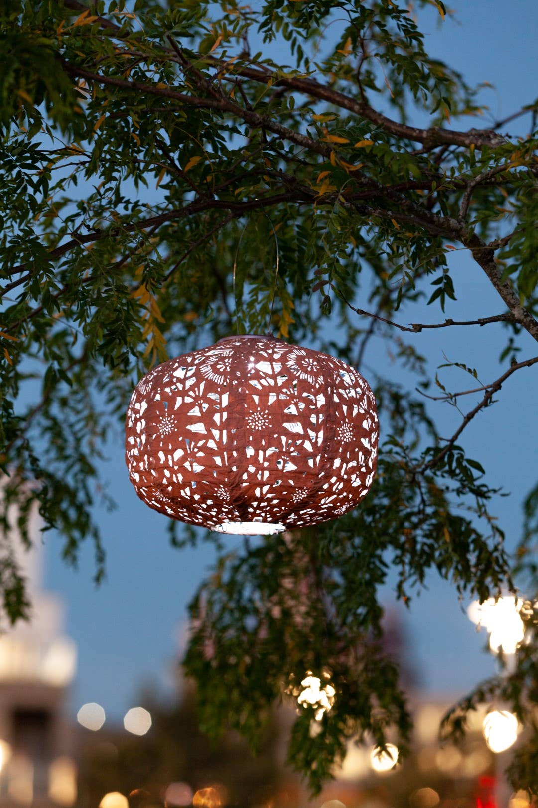 Allsop Home & Garden - Wholesale Outdoor/Lawn Light - Stella Square Sunflower 11" Solar Lantern - Clay17