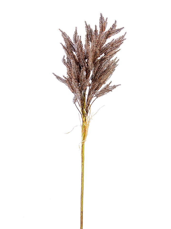 American Best - Wholesale Artificial Flowers - 31" DRIED SORGHUM SPRAY