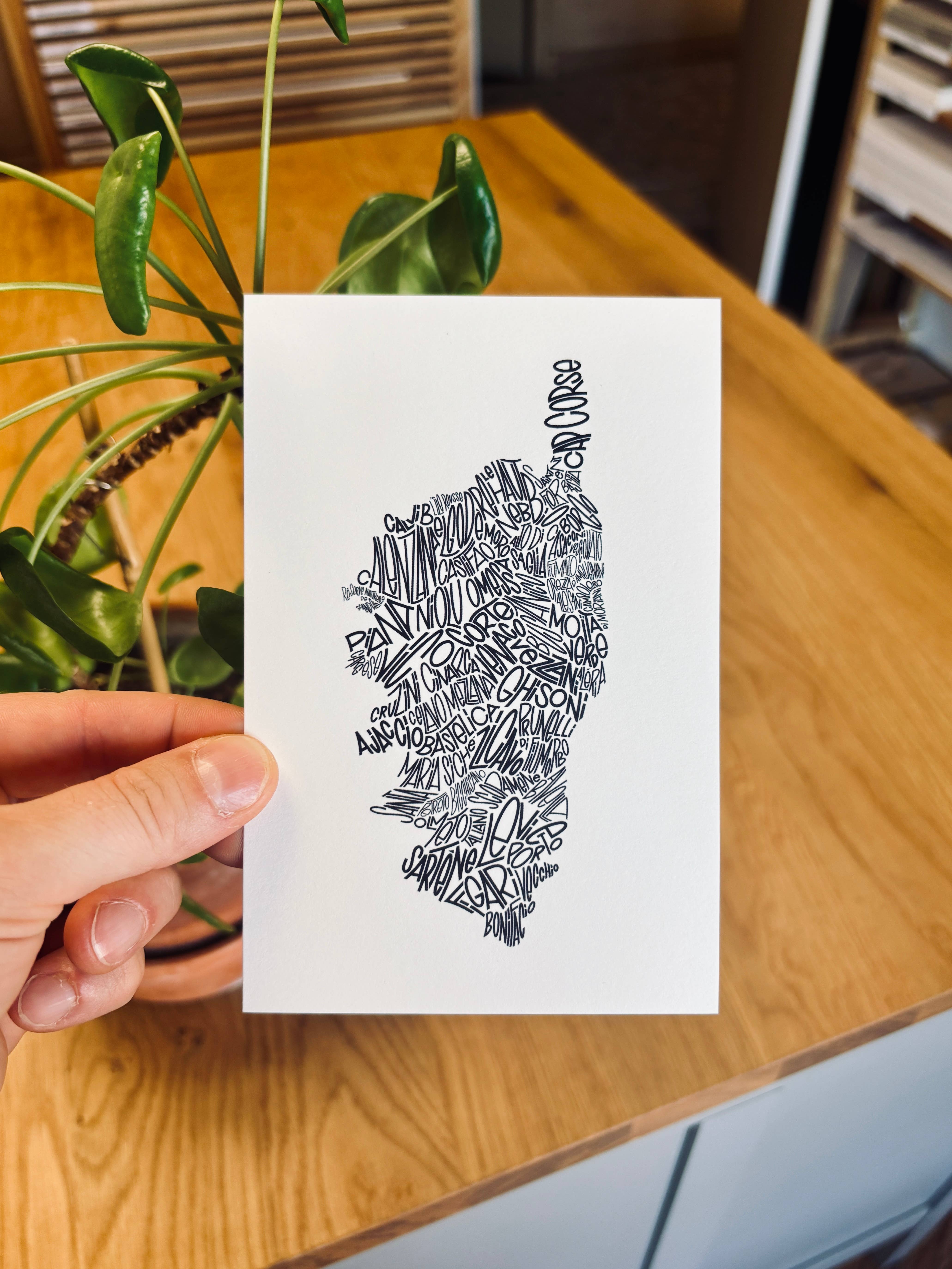 Les Petits Plans - Wholesale Postcard - 🏞️ Postcards2