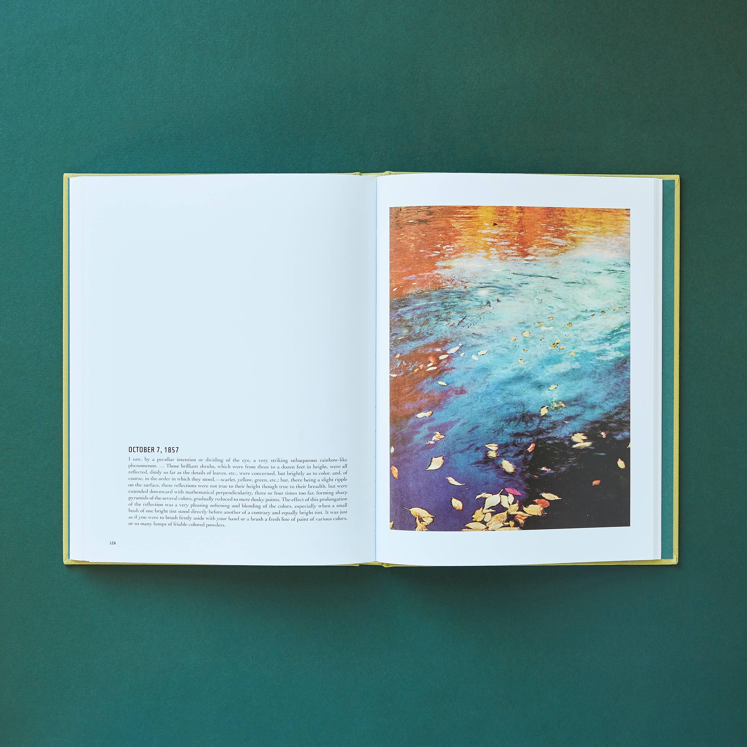 Chronicle Books - Wholesale Display Book - In Wildness7