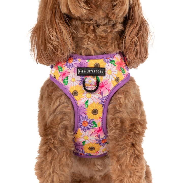 Big and Little Dogs - Wholesale Pet harness – Dog - ADJUSTABLE DOG HARNESS: Spring Fling5