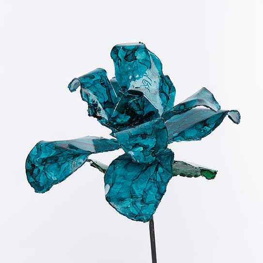 Teal Rose for wholesale by Bobbianne's Flowers