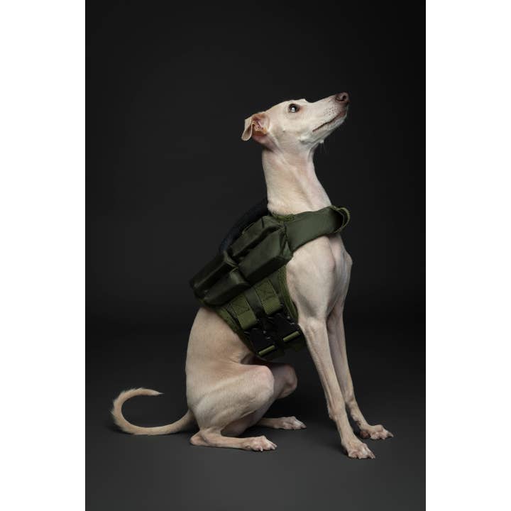 NOAH AND PAW LLC - Vente Veste – chien - Gilet de sauvetage pour chien NOAH AND PAW avec 4 mousses flottantes - Vert21