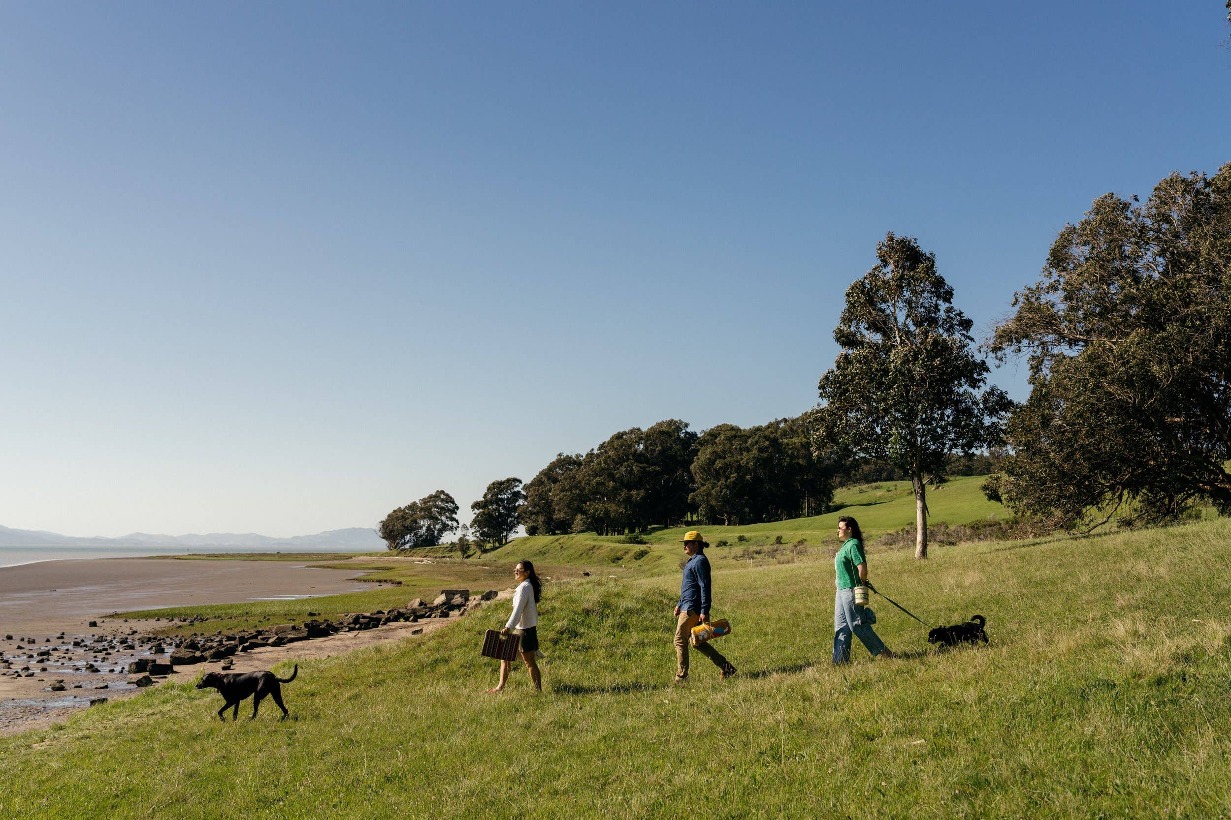 Caminito – wholesale Picnic blanket – Perro Dorado - Blanket Roll3