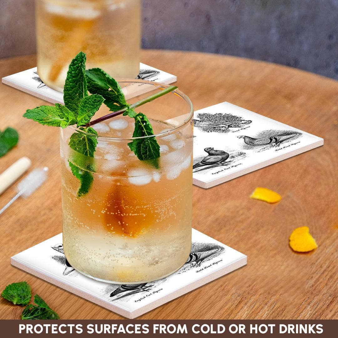 3dRose - Wholesale Coasters - 3dRose, Vintage Breeds of Pigeon Art Illustration Black and White for bird fan, Coaster2