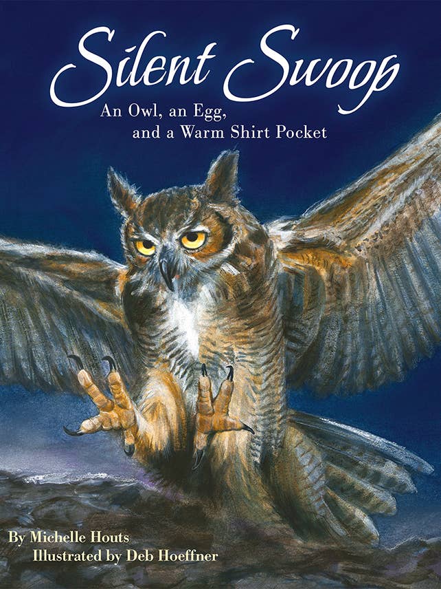 Silent Swoop for wholesale by Sourcebooks