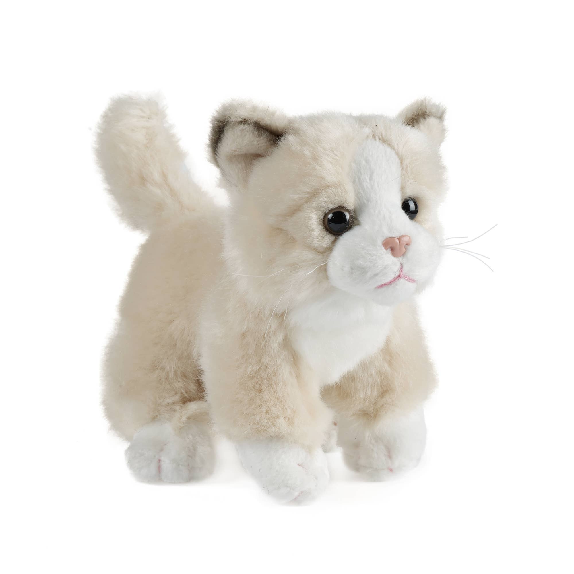 Keycraft - Wholesale Stuffed/Plush Toy - Kids & Baby - Living Nature Cat Small Plush Stuffed Animal Toy6