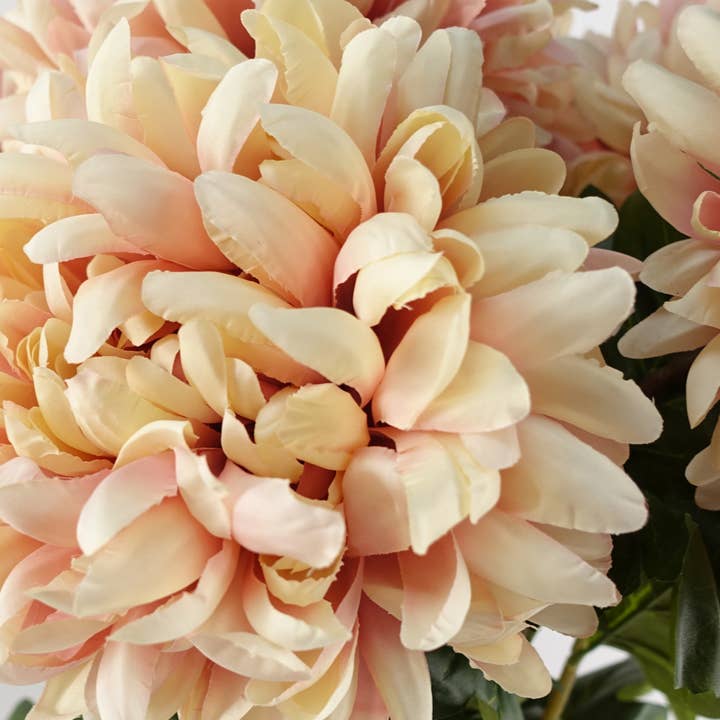 Leaf Design UK LTD โ wholesale Artificial flowers โ Artificial Flowers Large Reflex Chrysanthemum Pink 75cm1