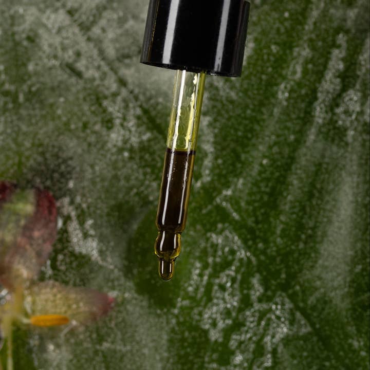 TERRAIN BRAZILIAN BOTANICALS - Vendita all'ingrosso Olio viso - SELVA Olio Viso Rigenerante con Açaí e Frutto della Passione