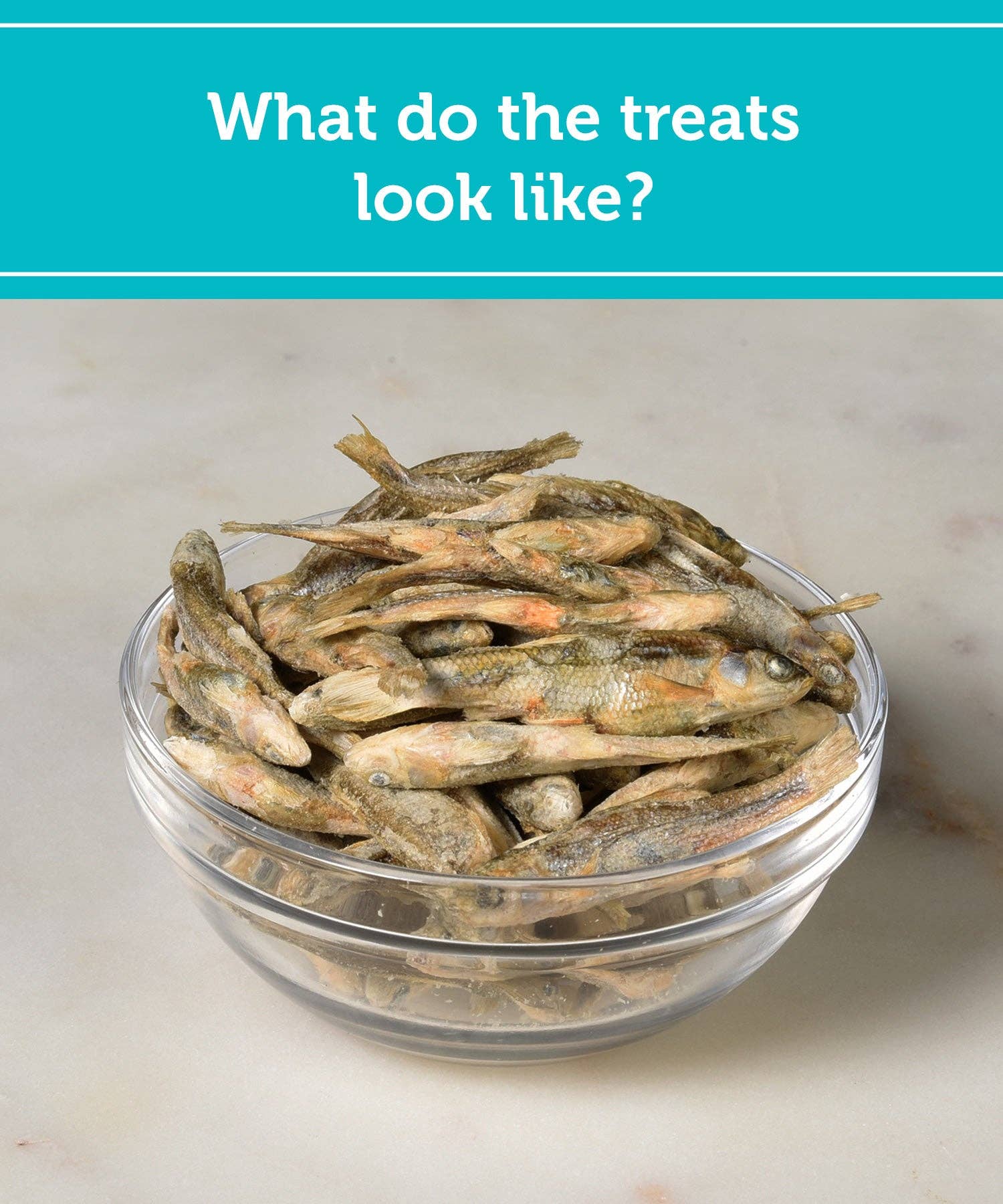 Fig & Tyler - Wholesale Pet Treats - Dog - Freeze-Dried Minnows1