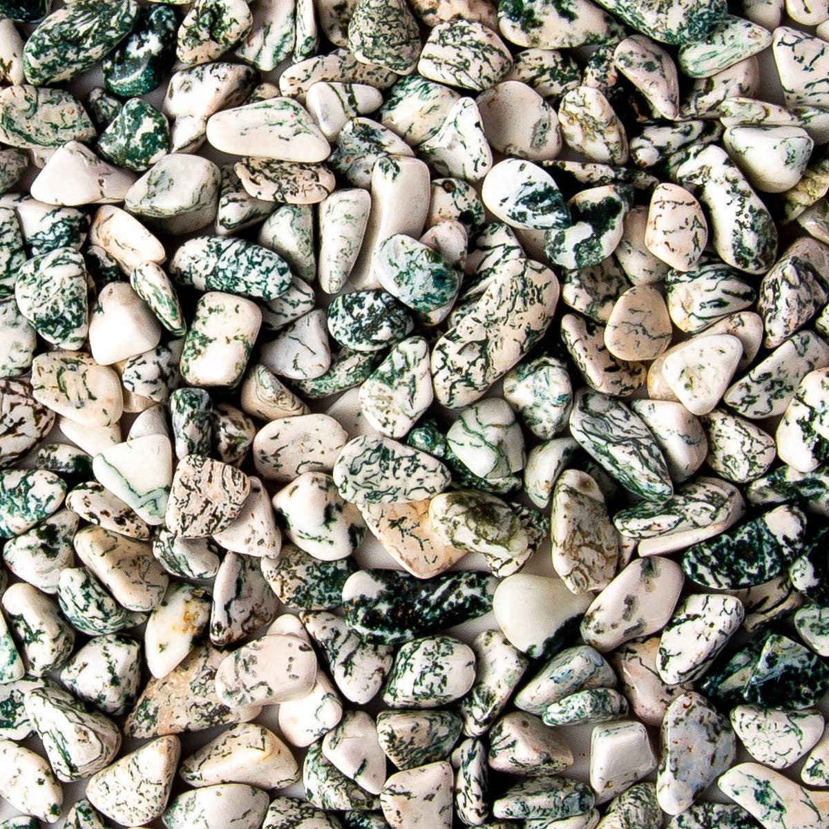 Tree of Life Gems - Wholesale Spiritual Stone/Crystal - Small Tumbled Tree Agate2