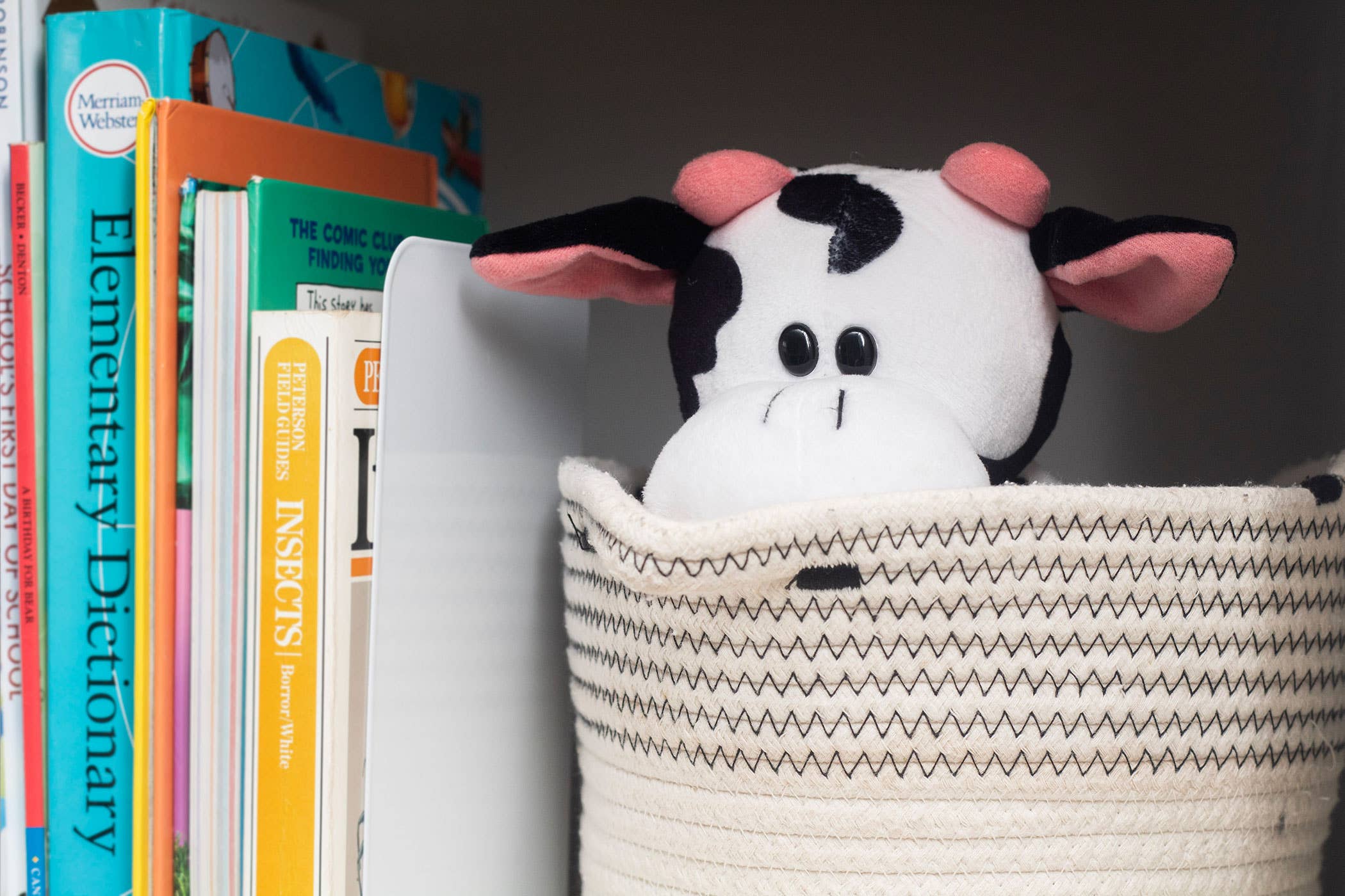 R & R Games – Peluche - Crianças e bebés por atacado – Hide & Seek Pals - Coco, a vaca2