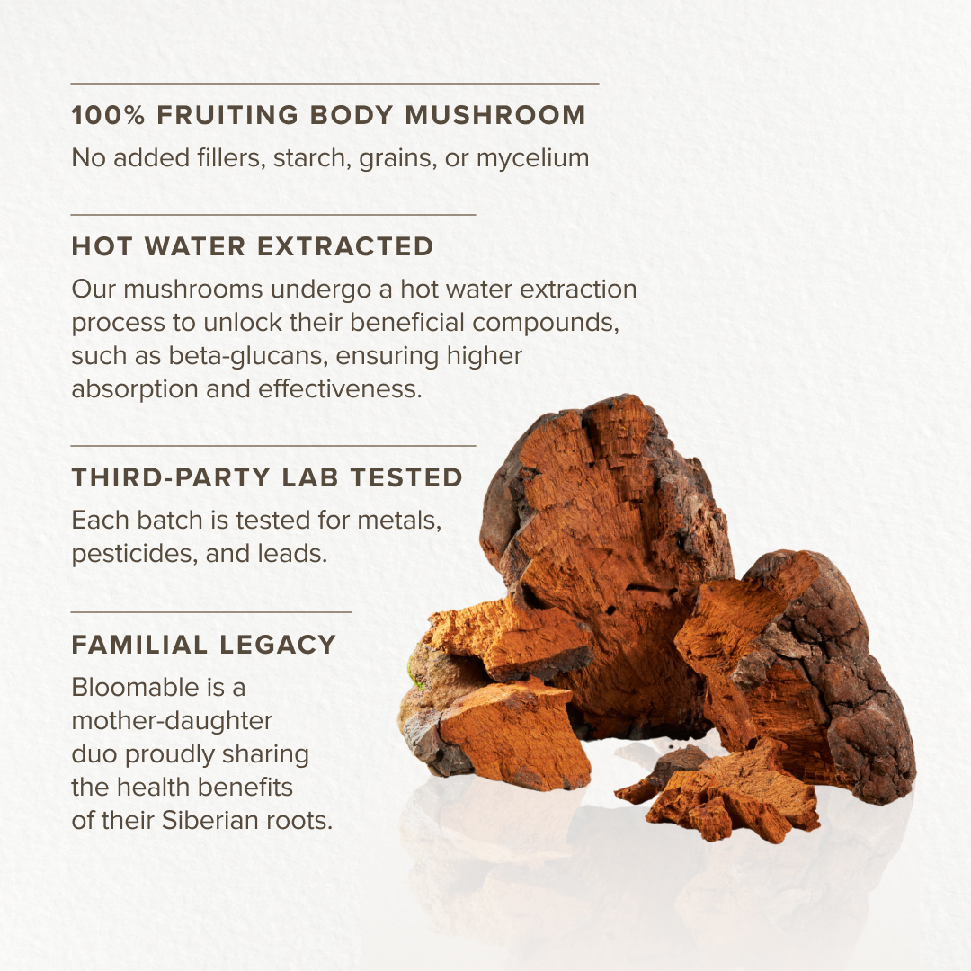 Bloomable Natural Products - Wholesale Protein/Superfood Powder - Chaga Mushroom Extract Powder (60 gr)4