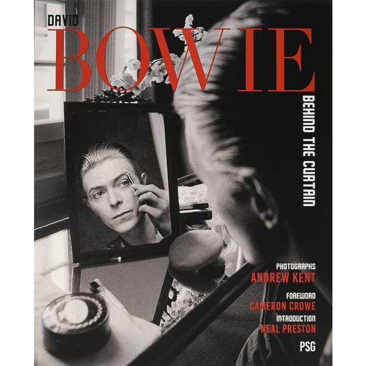 David Bowie: Behind the Curtain for wholesale by Microcosm Publishing & Distribution