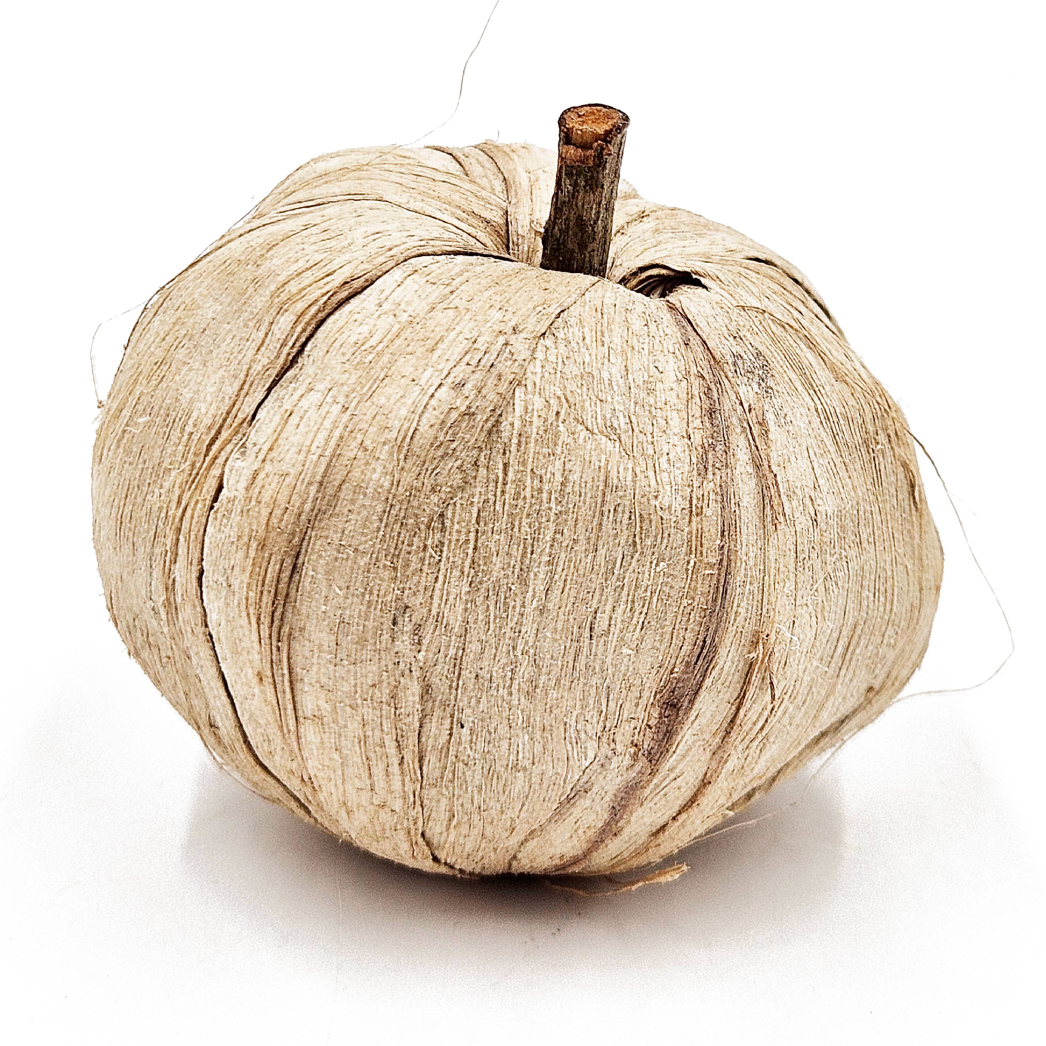 A&B Home Group Inc. - Wholesale Decorative Tabletop Object - 8.5" 10Pcs/Bag Pumpkin Pod Decor 12BAG/CTN1