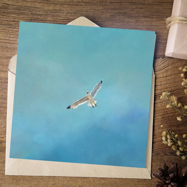 Portrait of Clouds - Wholesale Everyday Greeting Card - Seagull Greetings Card "Soar" - Luxury Textured Cardstock4