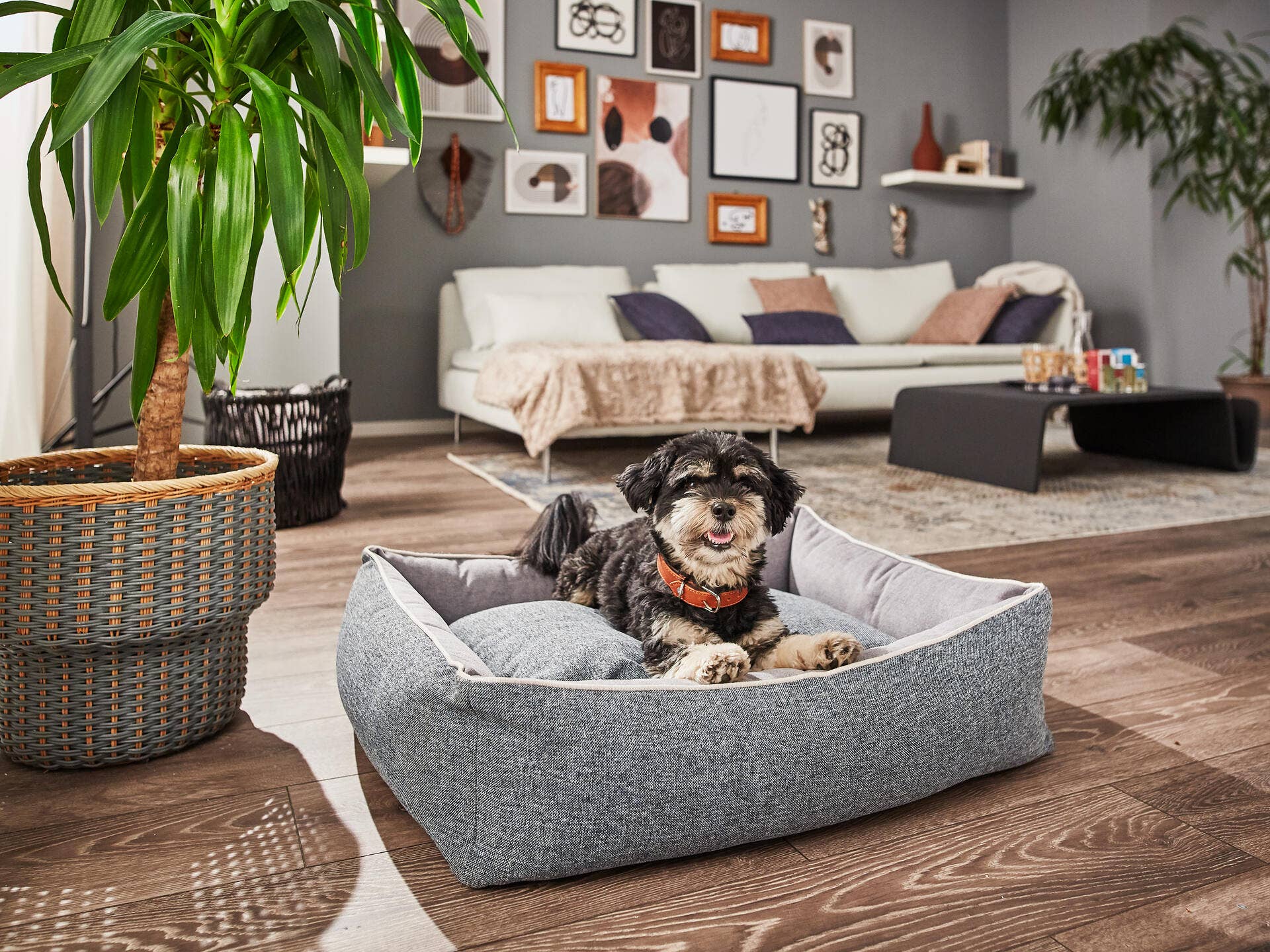 LABONI - Volentis GmbH - Wholesale Pet Bed - Dog - SCALA classic pet bed5