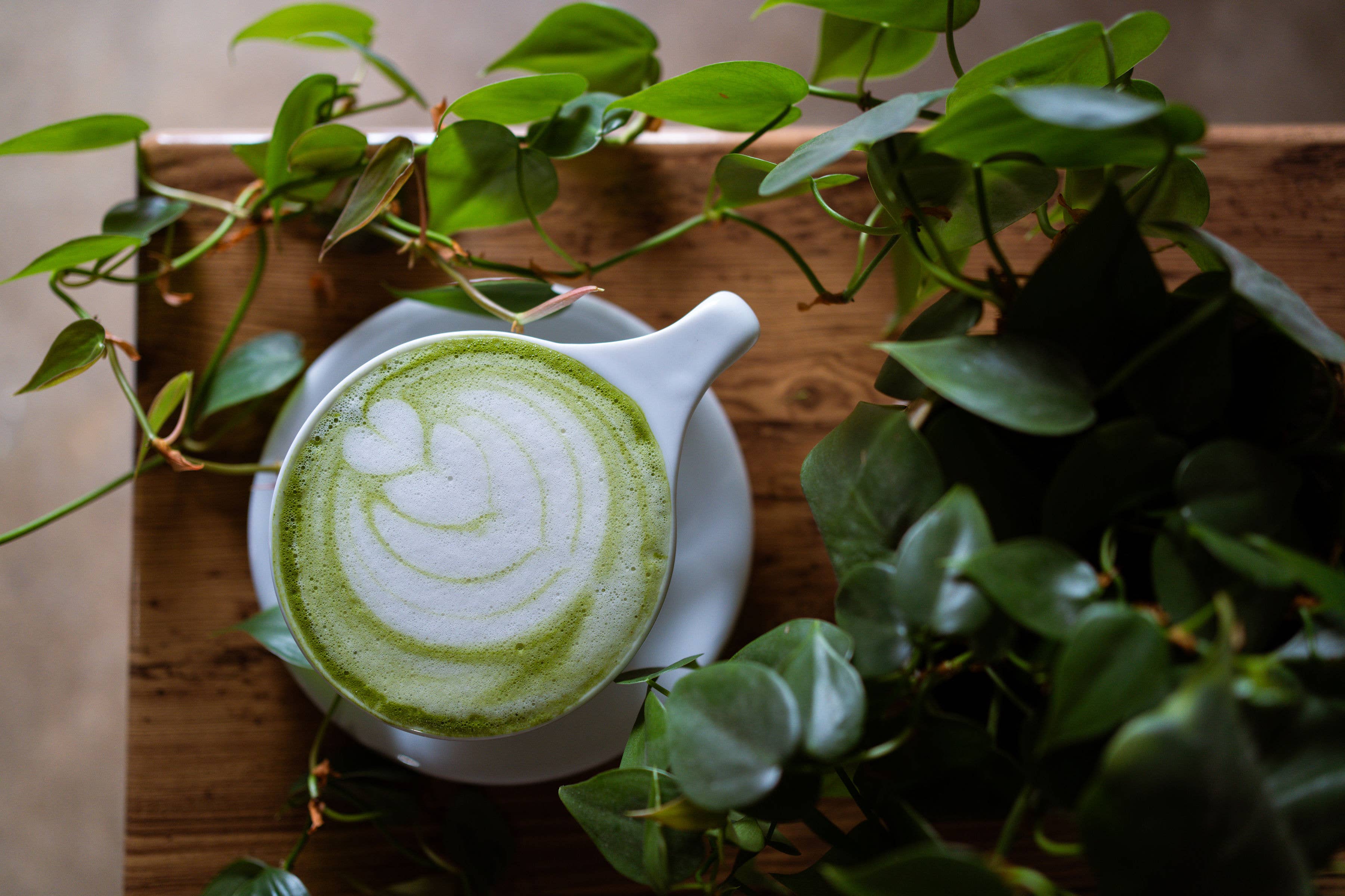 Matcha Nude - Wholesale Health/Detox Tea - Premium Organic Matcha – 50g (Min 6 Units)11