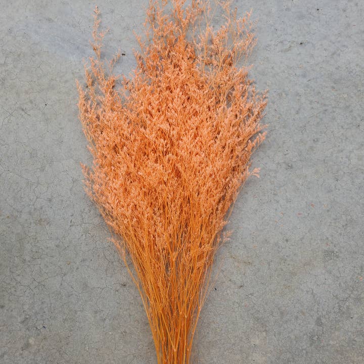 Preserved Limonium Caspia Flowers - Coral Orange (024) for wholesale by BLOOMINGFUL.COM