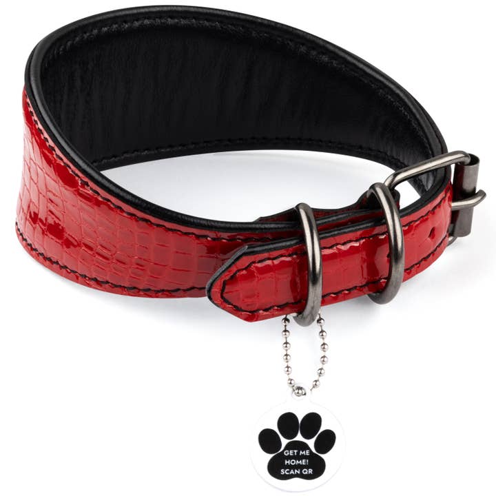 Soft Wide Leather Sighthound Dog Collar with QR ID Tag (M) for wholesale by TDV Homes