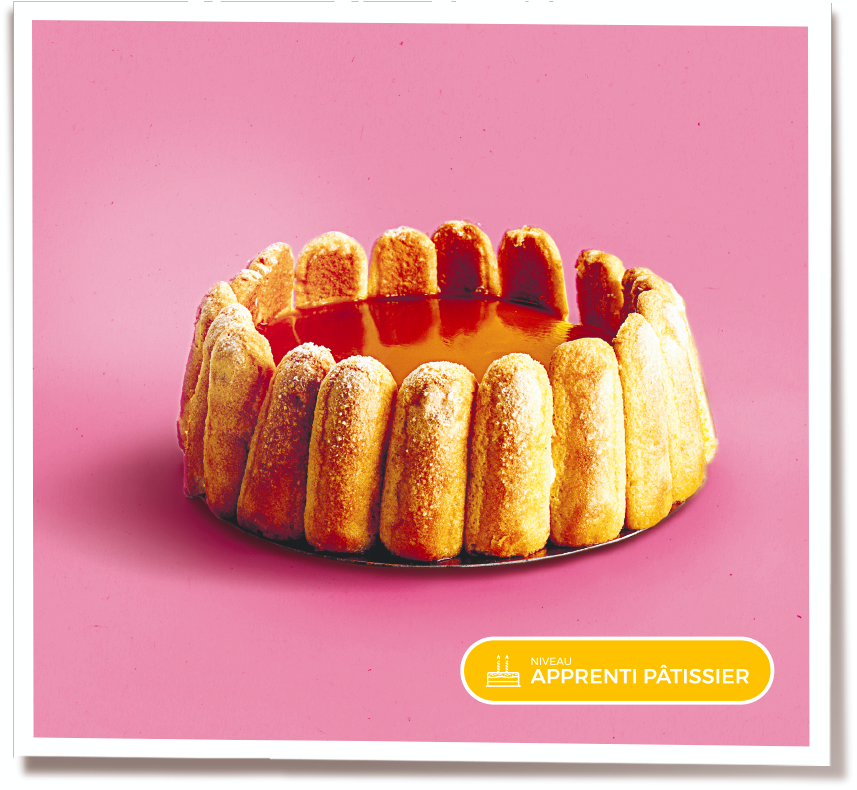 CAKE MASTER – wholesale Cake mix – Charlotte Mangue Passion1