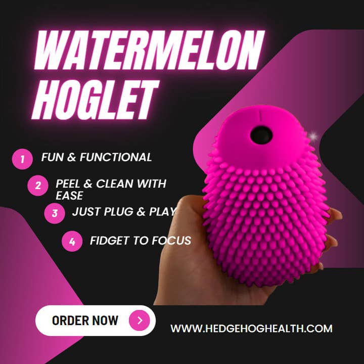 Hedgehog Technology - Wholesale Fidget Toy - Kids - Hoglet by HedgeHog Health1