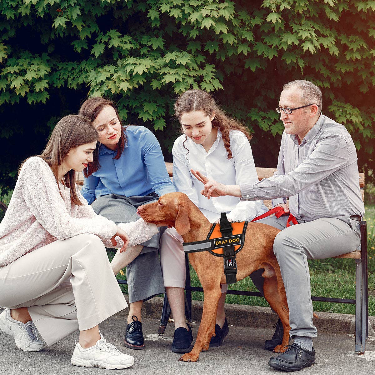 Dogline – wholesale Sele - Hund – Dogline Deaf Dog 3D Gummiplåster3