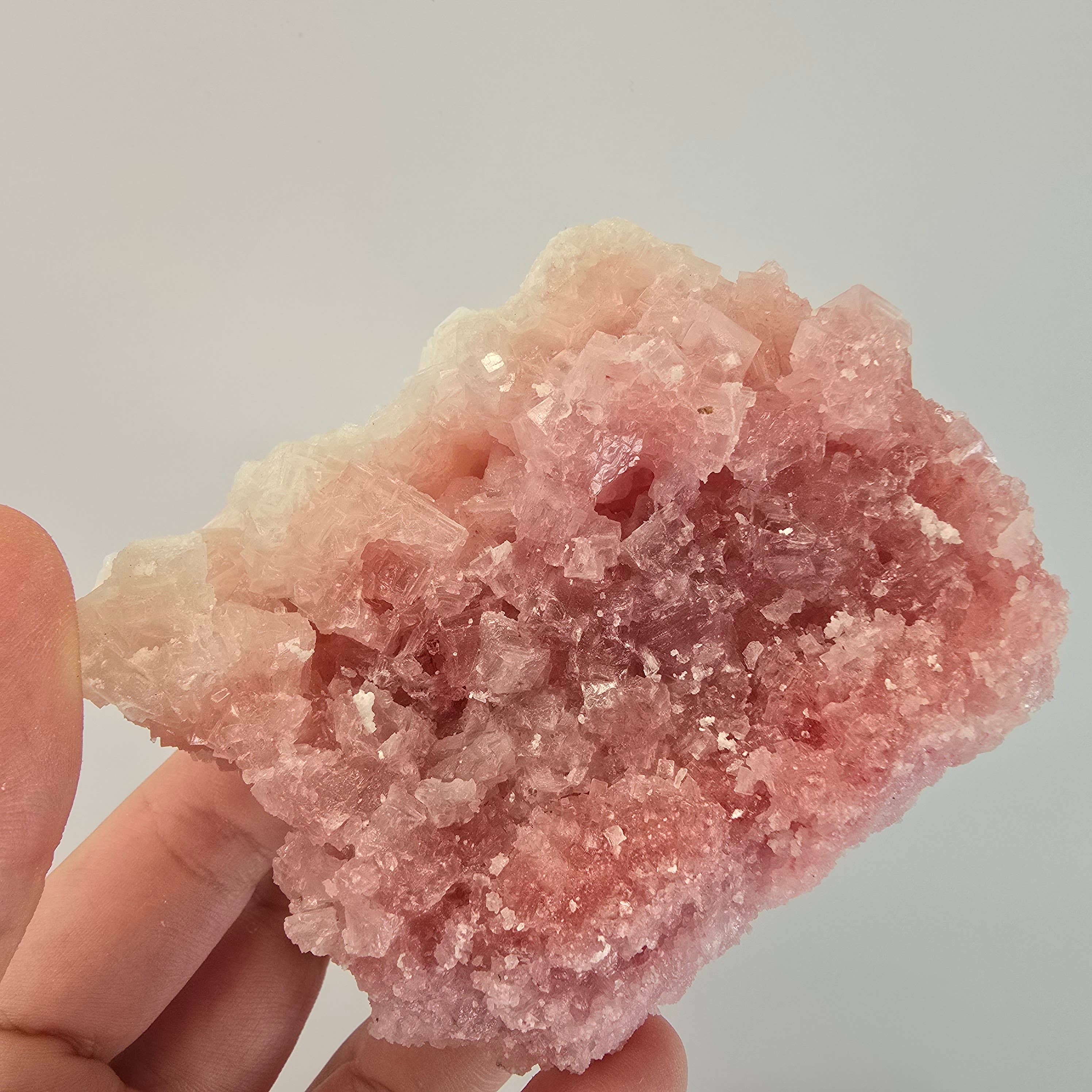 Aquamarine Daydream Wholesale - Wholesale Spiritual Stone/Crystal - 6pc Pink Halite ~ Bulk Mineral Flats ~ Crystal Specimens #138