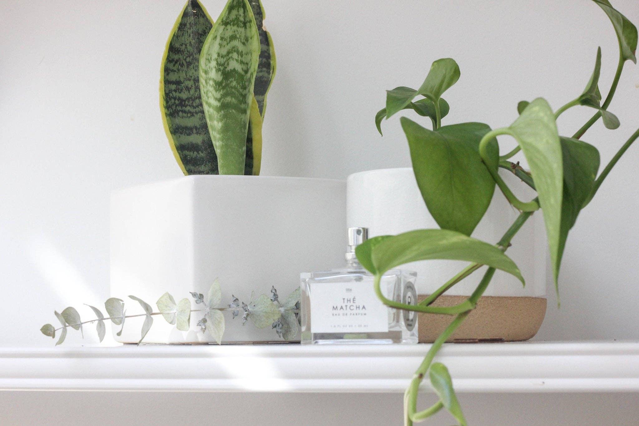 Sprout & About - Wholesale Plant Pot - Large Ceramic Planter Pot White on Beige4