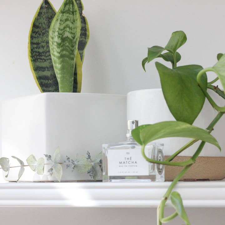 Sprout & About - Wholesale Plant Pot - Large Ceramic Planter Pot White on Beige4