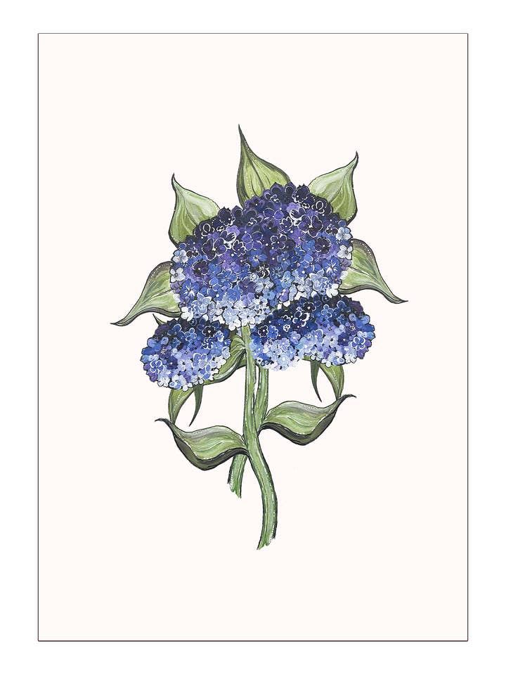 Botanical Hydrangea Print for wholesale by Bell Hutley