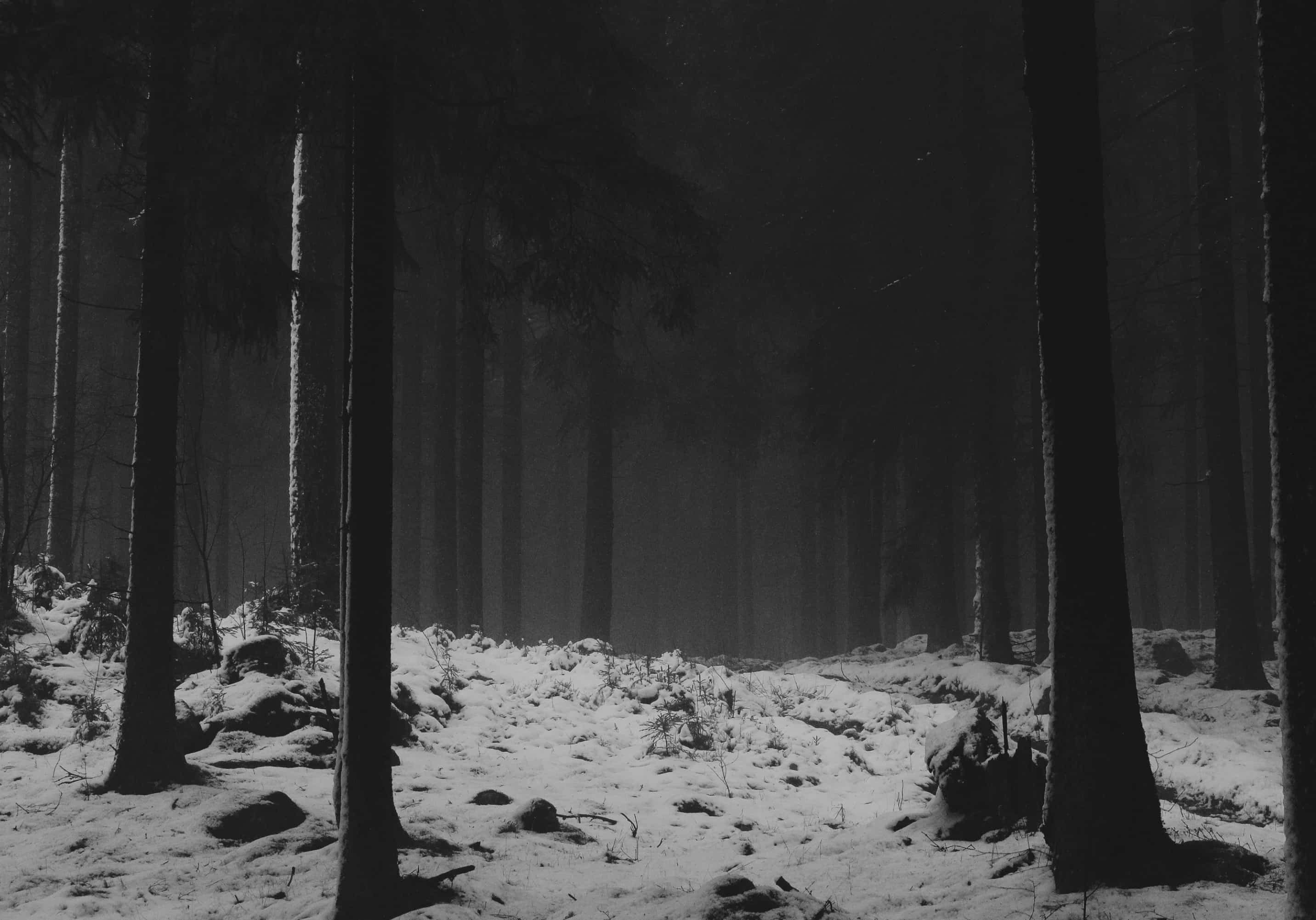 Hyldyr - Wholesale Poetry & Drama - The Comparative Hávamál4