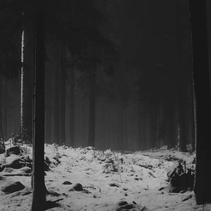 Hyldyr - Wholesale Poetry & Drama - The Comparative Hávamál4