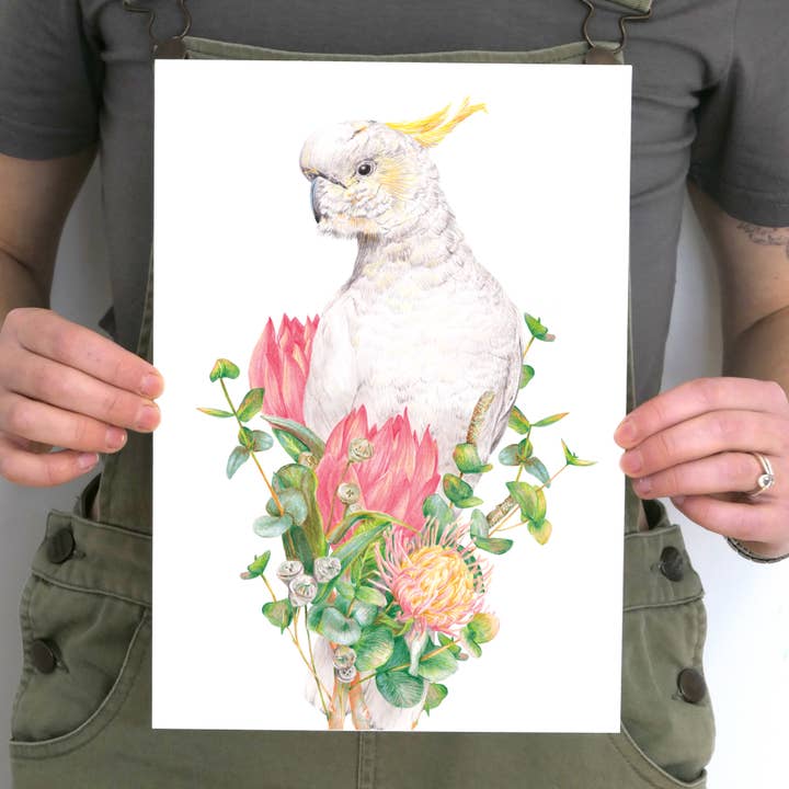 Sulphur-crested Cockatoo Art Print for wholesale by Kayla Reay Design