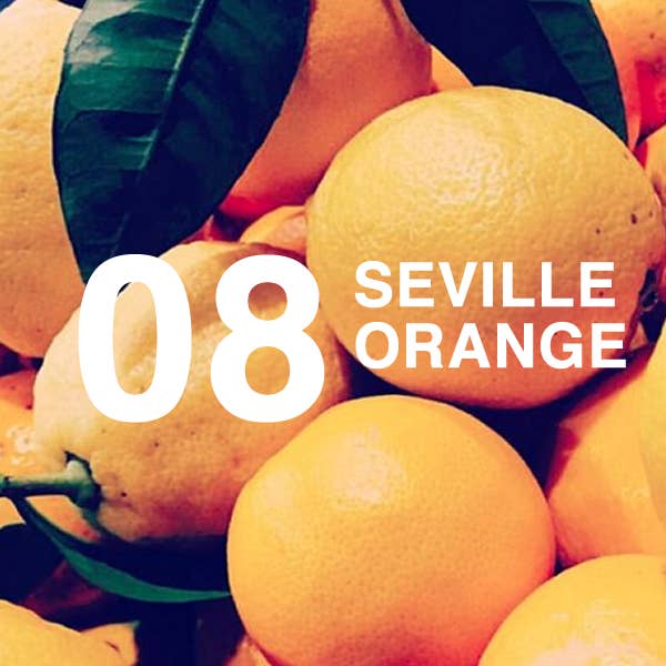 The Luxe Candle Co – wholesale Marschaller – RUMMET SPRAY. 08: SEVILLA ORANGE. 100ML1