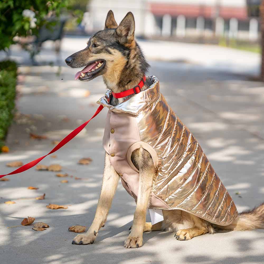 Blueberry Pet - Wholesale Pet Jacket - Dog - Custom-woven& Dyed Puffer Jacket, Flex Chest + Leash Opening27